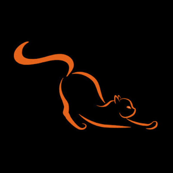 cozycatvideos